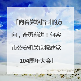 向着党旗指引的方向，奋勇前进！句容市公安机关庆祝建党104周年大会
