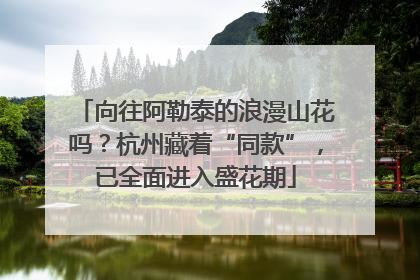 向往阿勒泰的浪漫山花吗？杭州藏着“同款”，已全面进入盛花期