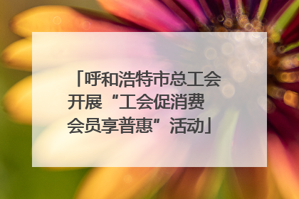 呼和浩特市总工会开展“工会促消费 会员享普惠”活动