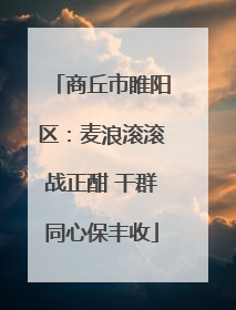 商丘市睢阳区：麦浪滚滚战正酣 干群同心保丰收