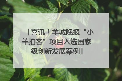 喜讯！羊城晚报“小羊拍客”项目入选国家级创新发展案例