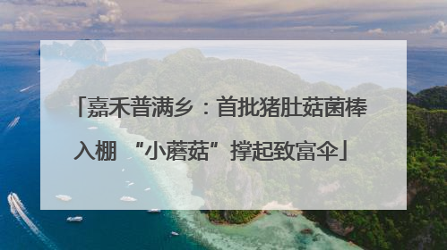 嘉禾普满乡：首批猪肚菇菌棒入棚 “小蘑菇”撑起致富伞