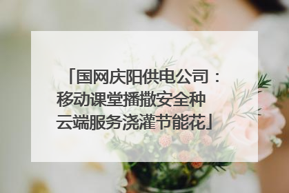 国网庆阳供电公司：移动课堂播撒安全种 云端服务浇灌节能花