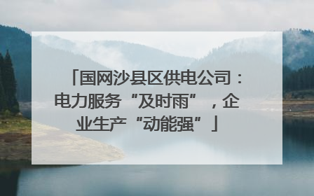 国网沙县区供电公司：电力服务“及时雨”，企业生产“动能强”