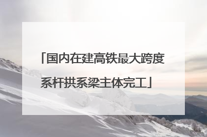 国内在建高铁最大跨度系杆拱系梁主体完工