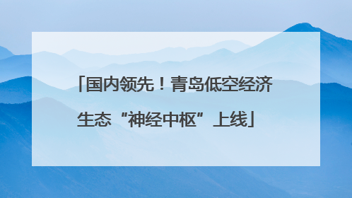 国内领先！青岛低空经济生态“神经中枢”上线