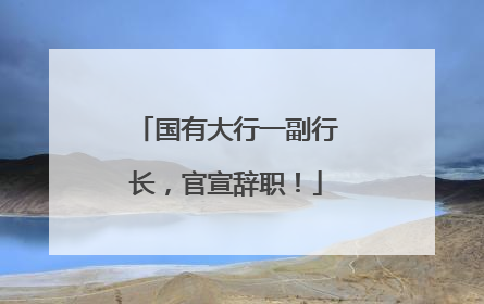 国有大行一副行长，官宣辞职！