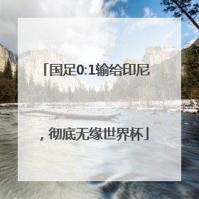 国足0:1输给印尼，彻底无缘世界杯