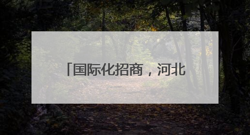 国际化招商，河北广邀全球投资客商
