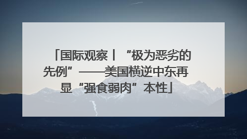 国际观察丨“极为恶劣的先例”——美国横逆中东再显“强食弱肉”本性
