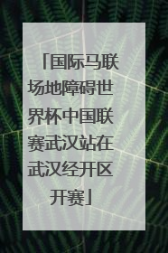 国际马联场地障碍世界杯中国联赛武汉站在武汉经开区开赛