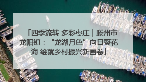 四季流转 多彩枣庄｜滕州市龙阳镇：“龙湖月色”向日葵花海 绘就乡村振兴新画卷