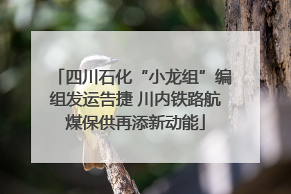 四川石化“小龙组”编组发运告捷 川内铁路航煤保供再添新动能