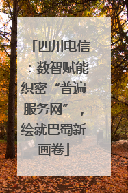 四川电信：数智赋能织密“普遍服务网”，绘就巴蜀新画卷