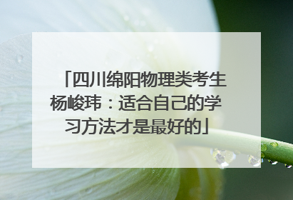 四川绵阳物理类考生杨峻玮：适合自己的学习方法才是最好的