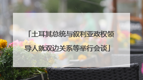 土耳其总统与叙利亚政权领导人就双边关系等举行会谈
