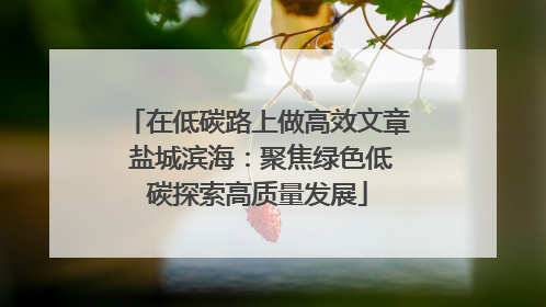 在低碳路上做高效文章 盐城滨海：聚焦绿色低碳探索高质量发展