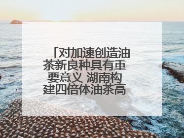 对加速创造油茶新良种具有重要意义 湖南构建四倍体油茶高精度基因图谱