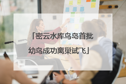 密云水库鸟岛首批幼鸟成功离巢试飞