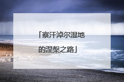 察汗淖尔湿地的涅槃之路