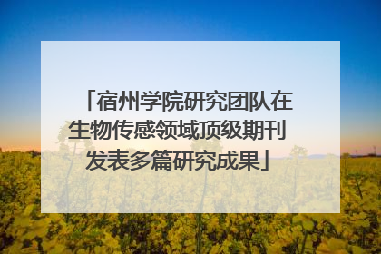 宿州学院研究团队在生物传感领域顶级期刊发表多篇研究成果