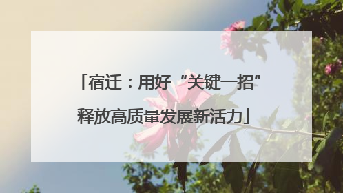 宿迁：用好“关键一招” 释放高质量发展新活力