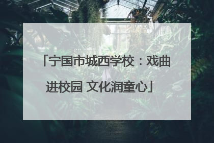 宁国市城西学校：戏曲进校园 文化润童心