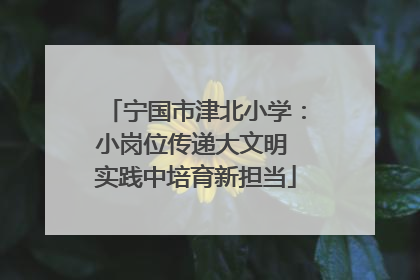 宁国市津北小学：小岗位传递大文明 实践中培育新担当