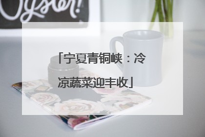 宁夏青铜峡：冷凉蔬菜迎丰收