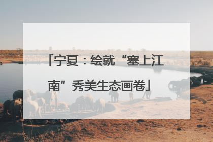 宁夏：绘就“塞上江南”秀美生态画卷