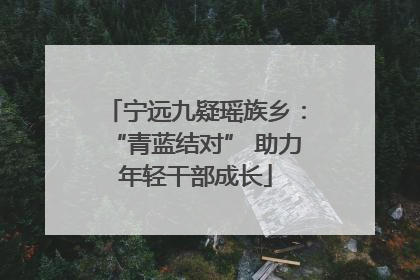 宁远九疑瑶族乡：“青蓝结对” 助力年轻干部成长