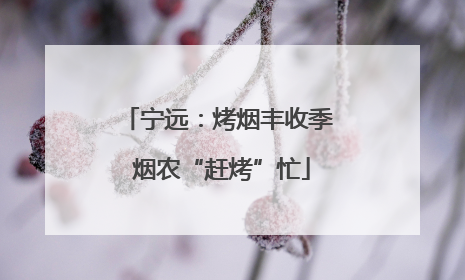 宁远：烤烟丰收季 烟农“赶烤”忙