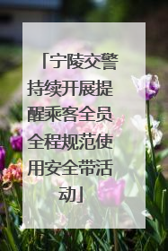 宁陵交警持续开展提醒乘客全员全程规范使用安全带活动