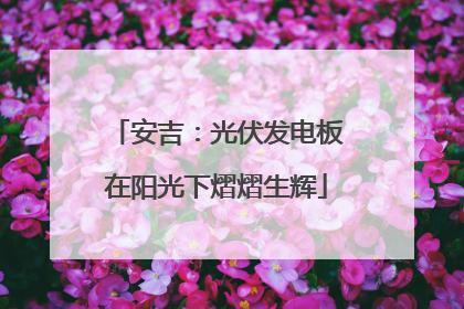 安吉：光伏发电板在阳光下熠熠生辉