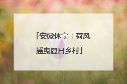 安徽休宁：荷风摇曳夏日乡村