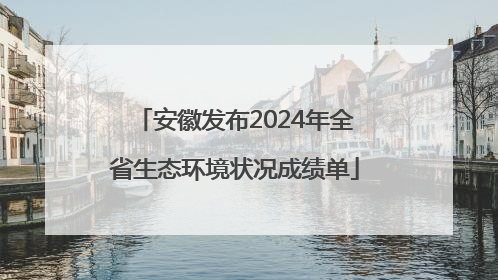 安徽发布2024年全省生态环境状况成绩单