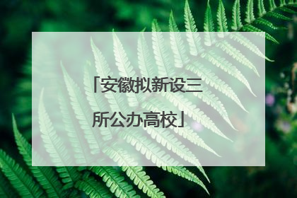安徽拟新设三所公办高校