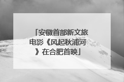 安徽首部新文旅电影《风起秋浦河》在合肥首映