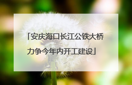 安庆海口长江公铁大桥力争今年内开工建设