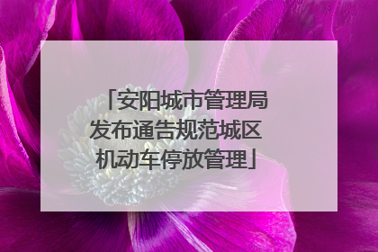安阳城市管理局发布通告规范城区机动车停放管理