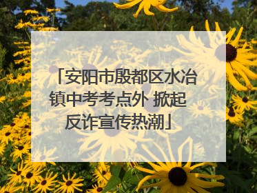 安阳市殷都区水冶镇中考考点外 掀起反诈宣传热潮