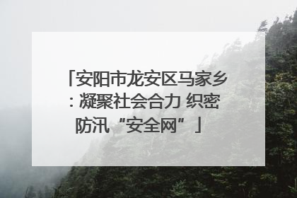 安阳市龙安区马家乡：凝聚社会合力 织密防汛“安全网”