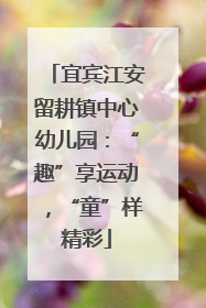 宜宾江安留耕镇中心幼儿园：“趣”享运动，“童”样精彩
