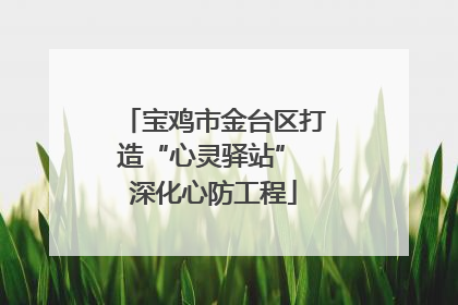 宝鸡市金台区打造“心灵驿站” 深化心防工程