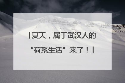 夏天，属于武汉人的“荷系生活”来了！