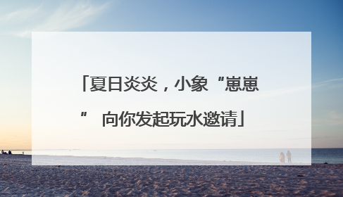 夏日炎炎，小象“崽崽” 向你发起玩水邀请