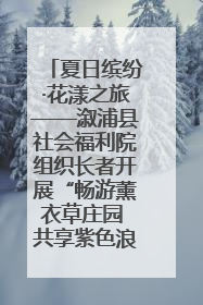 夏日缤纷·花漾之旅——溆浦县社会福利院组织长者开展“畅游薰衣草庄园 共享紫色浪漫”户外活动