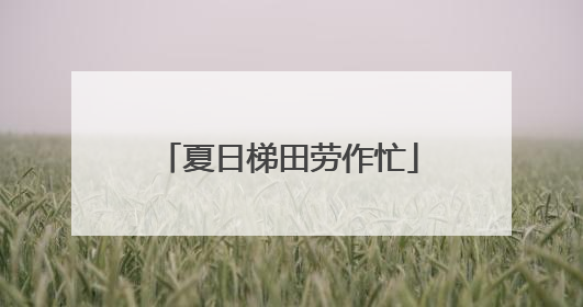 夏日梯田劳作忙