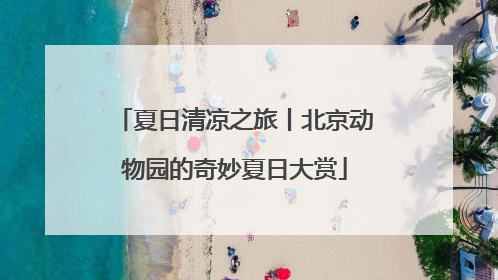 夏日清凉之旅丨北京动物园的奇妙夏日大赏