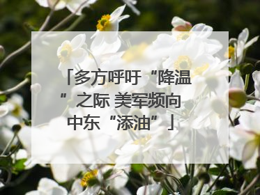 多方呼吁“降温”之际 美军频向中东“添油”